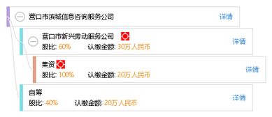 营口市滨城信息咨询服务公司 专业信息咨询，赋能滨城发展